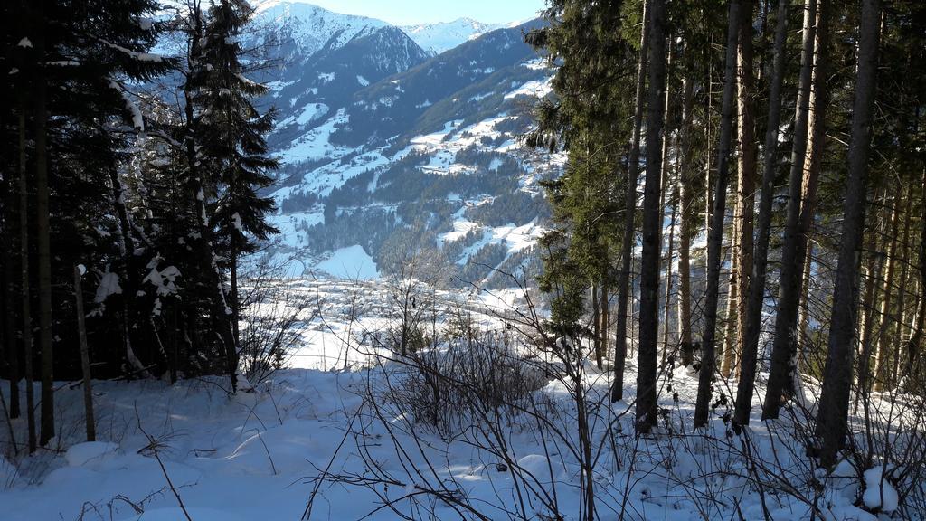 Апартаменты Floerl Цель-ам-Циллер Экстерьер фото
